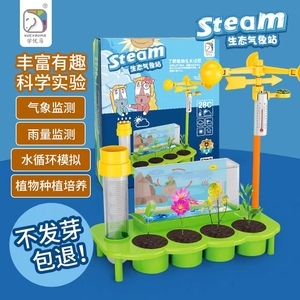 探索大自然的氣息 風向標氣象科學實驗玩具的魅力